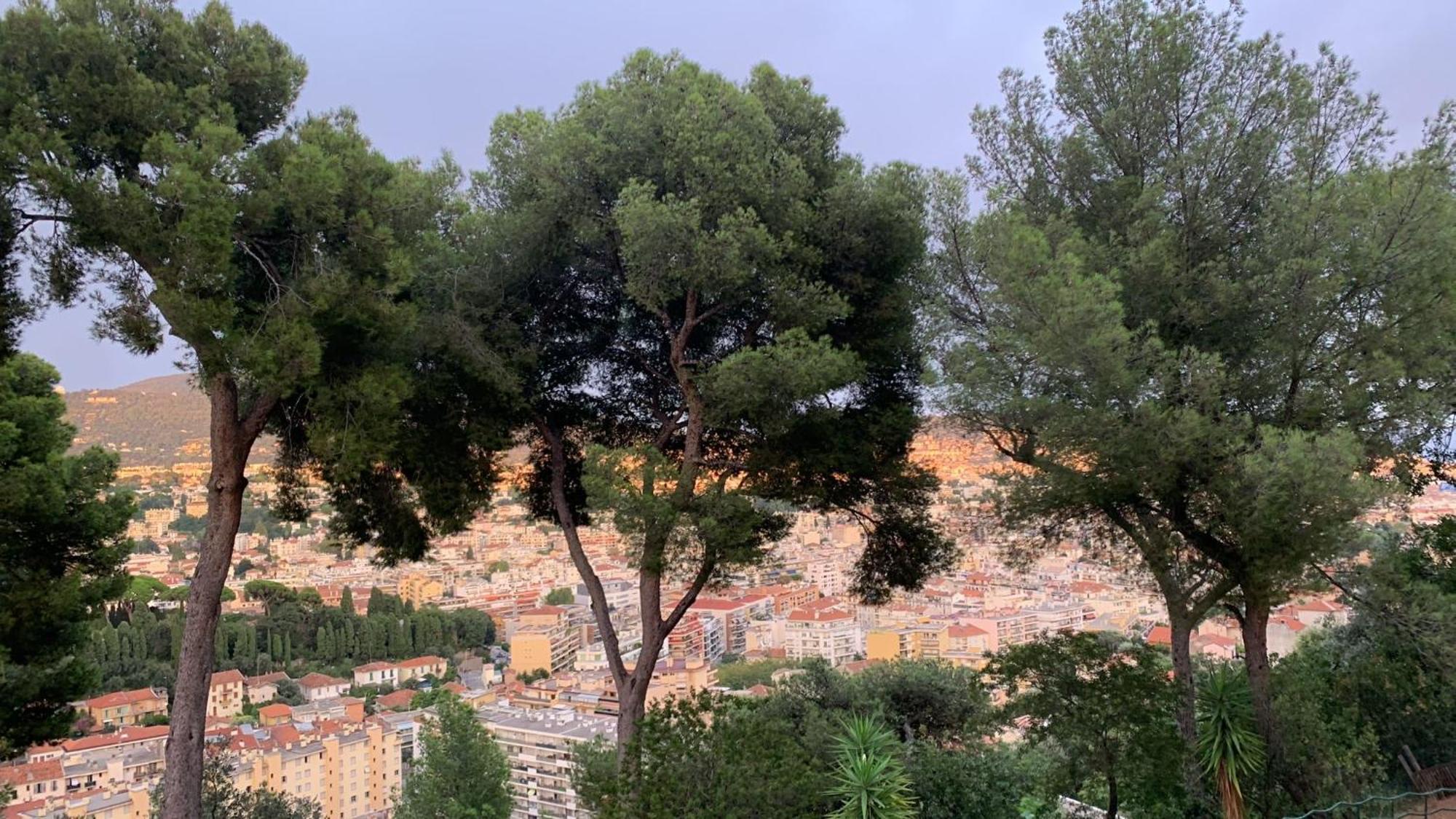 D Avec Clim Terrasse Et Petit Dejeuner Hauteurs De Alloggio in famiglia *