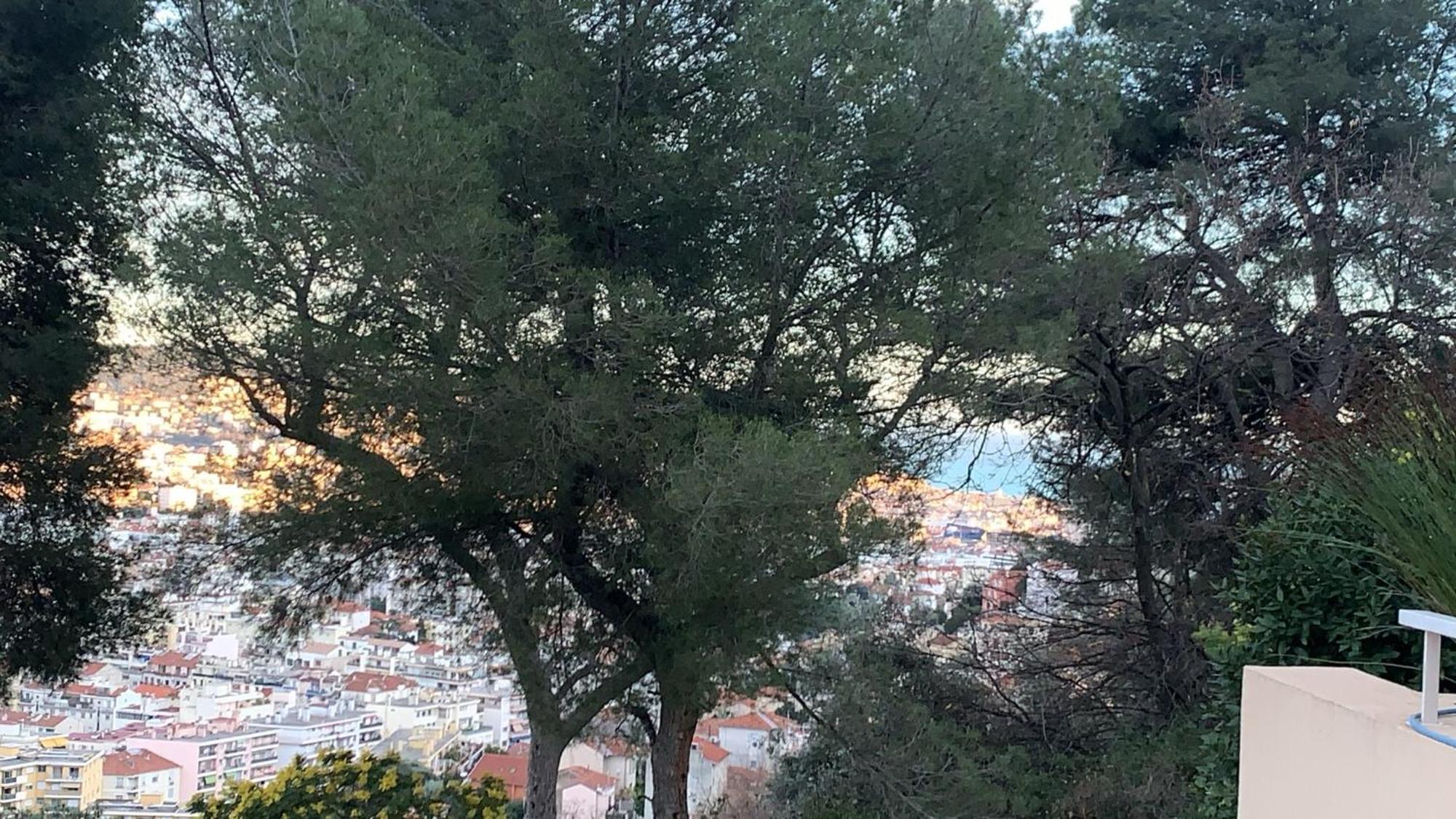 Privatunterkunft D Avec Clim Terrasse Et Petit Dejeuner Hauteurs De Nizza